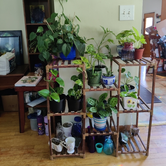 Propagation wall vase with mounting wall holder - Picture 4 of 9